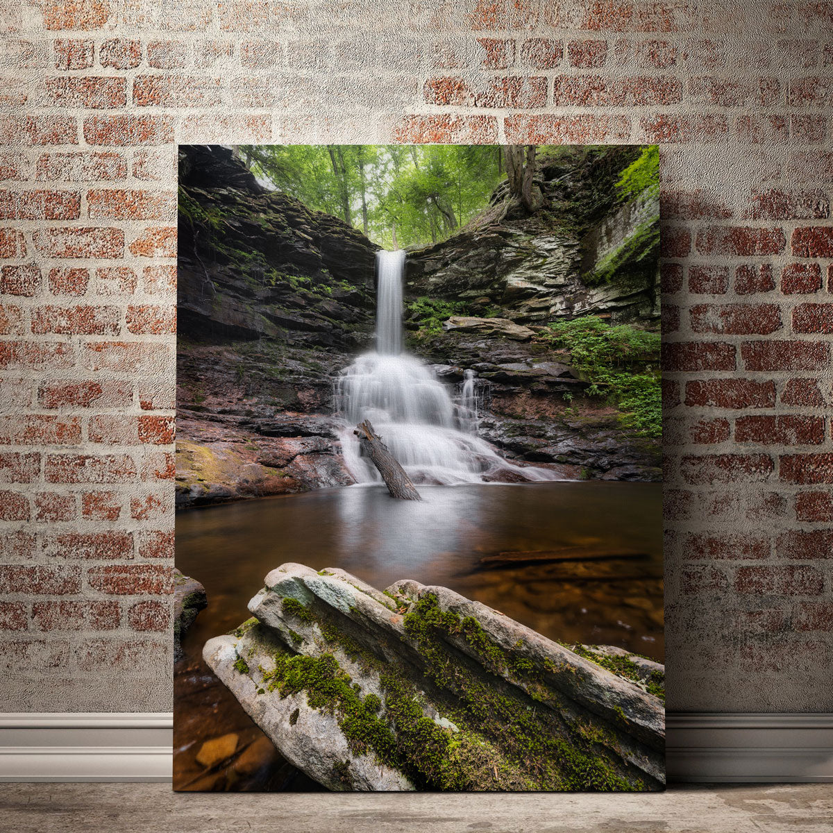 Stunning Sheldon Reynolds Falls Wall Art by Shaun Mayer