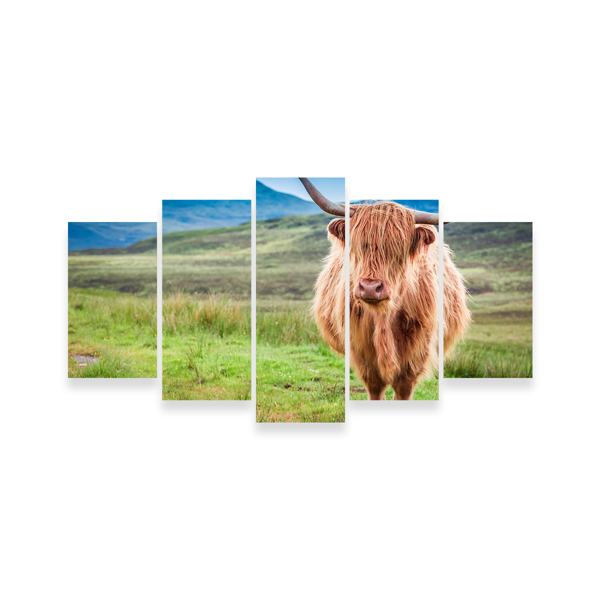 Charming Highland Cow in Isle of Skye Wall Art for Stunning Decor