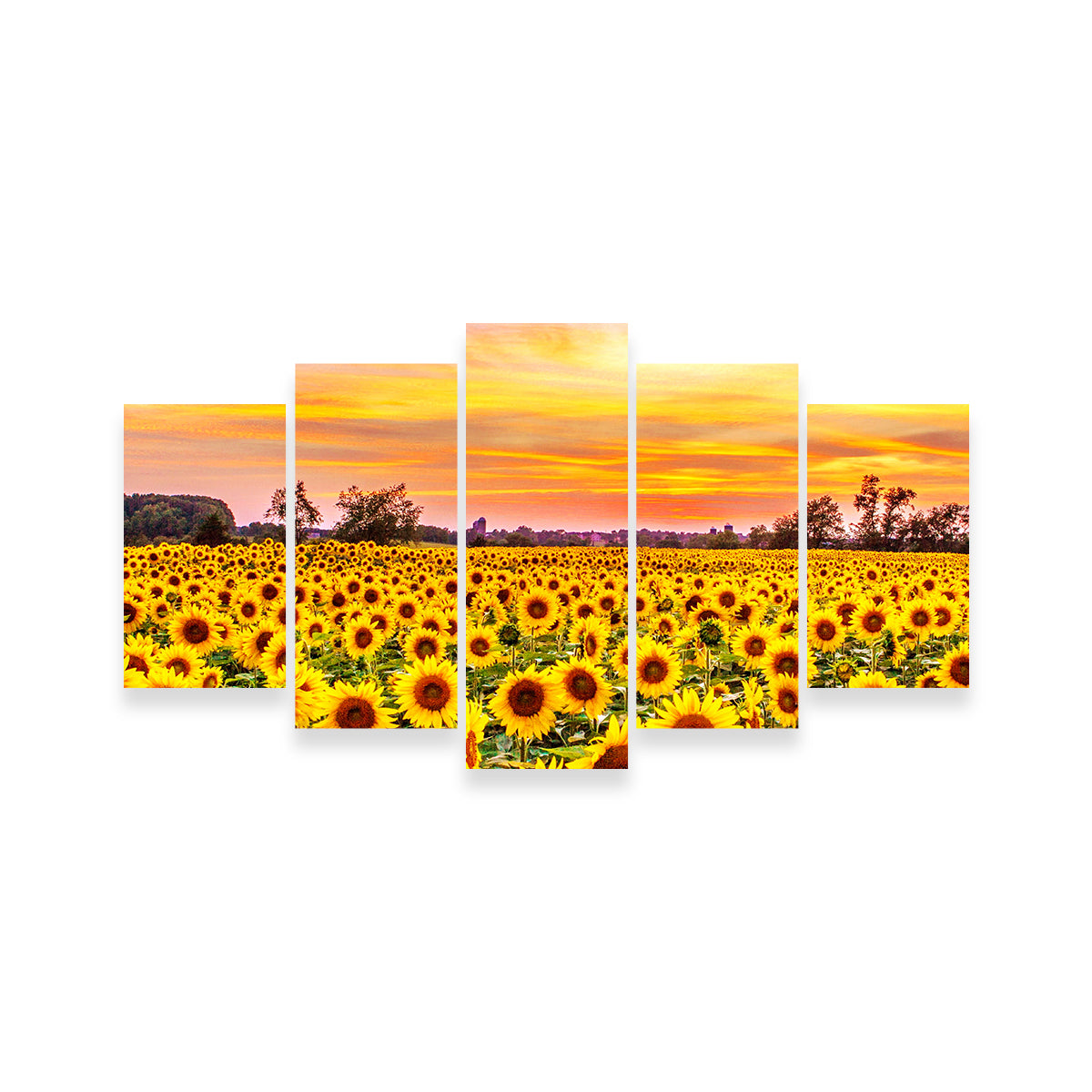 Stunning Bed of Sunflowers Wall Art for Your Home Decor