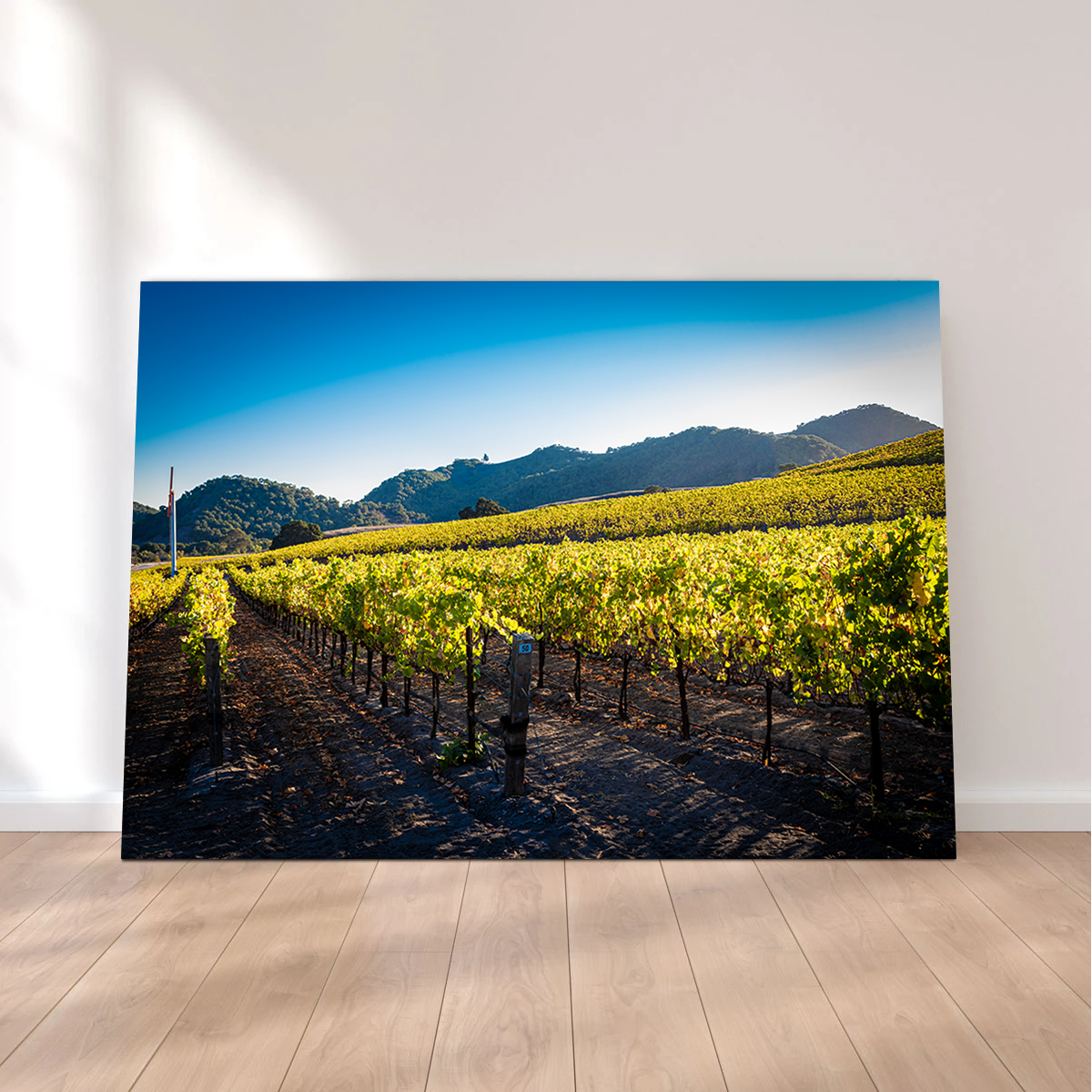Stunning Central California Vineyard Wall Art for Your Home Decor