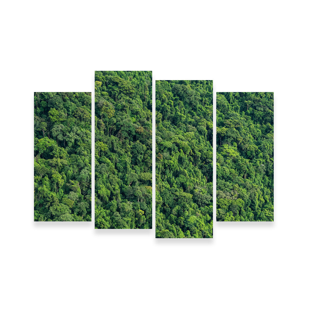 Stunning Atlantic Forest Wall Art by Sofia Leite Fonseca