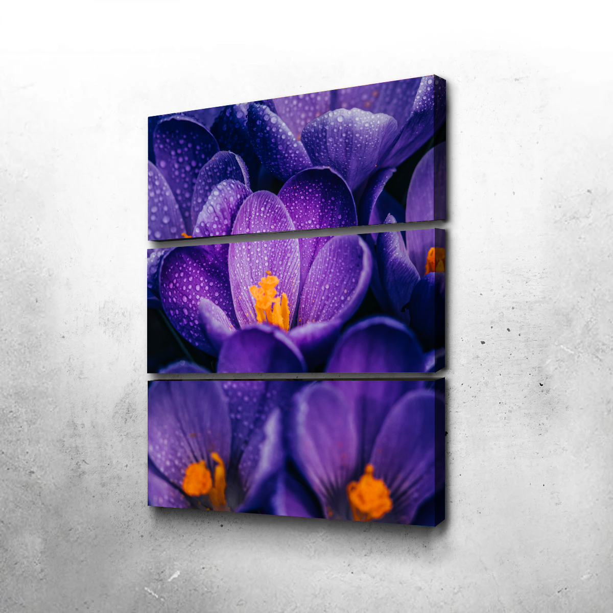 Gorgeous Purple Pollen Wall Art by Manuel Luces
