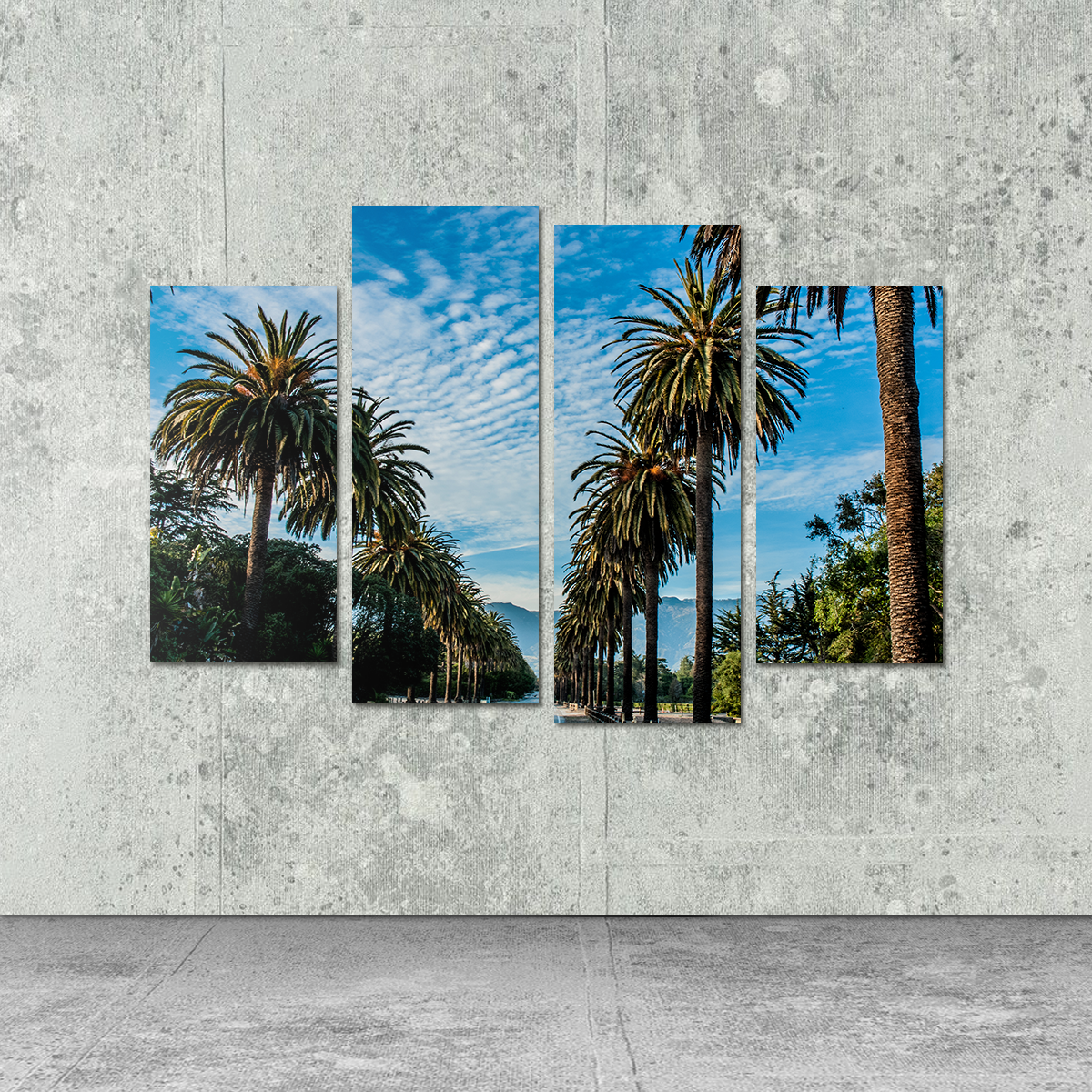 Hope Ranch Palm Drive Exquisite Wall Art by Kyle Sherry