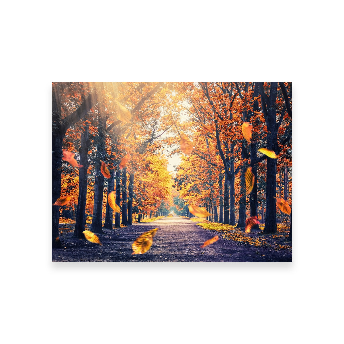 Autumn In Holland Wall Art