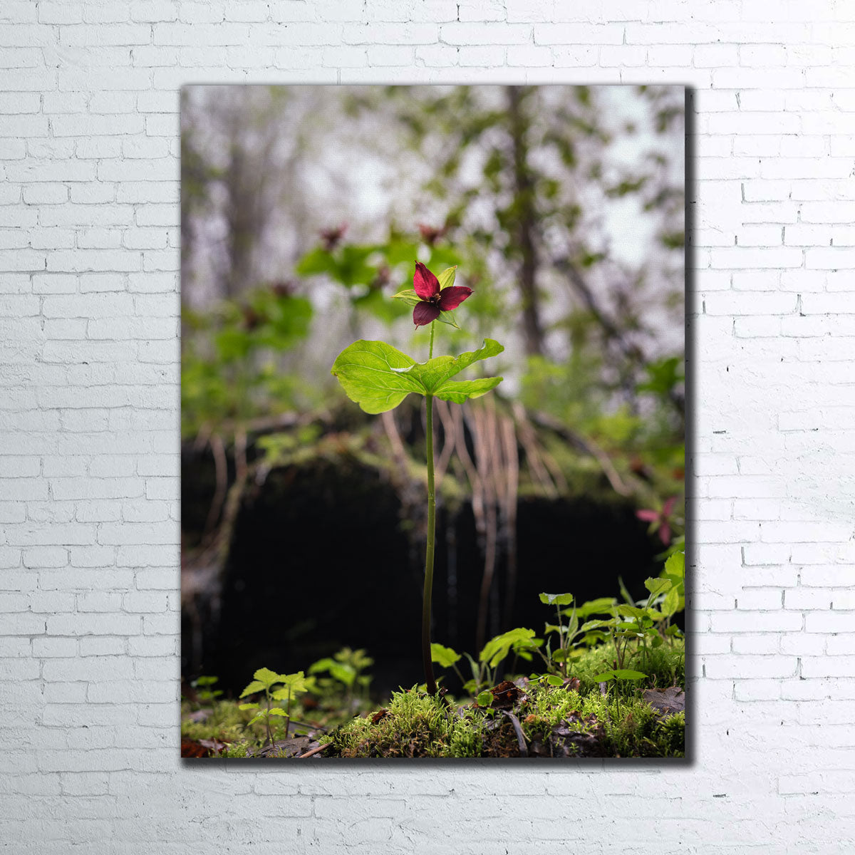 Exquisite Simple Scene Wall Art by Shaun Mayer