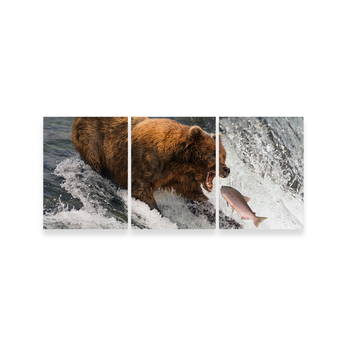 Exquisite Bear Catching Salmon Wall Art for Stunning Home Decor