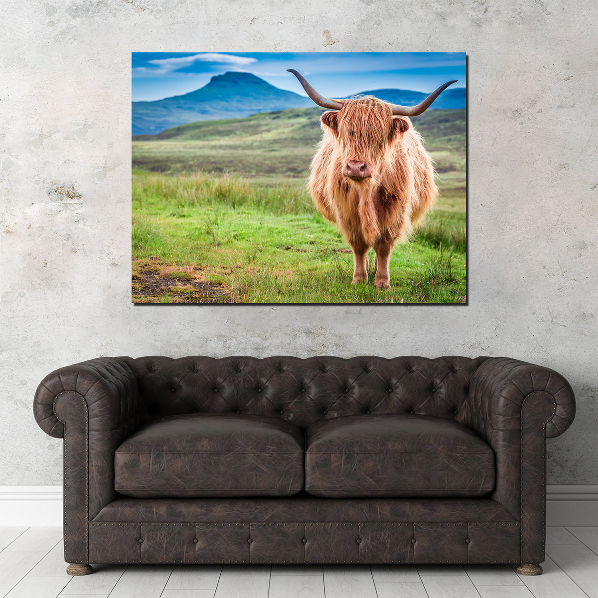 Charming Highland Cow in Isle of Skye Wall Art for Stunning Decor