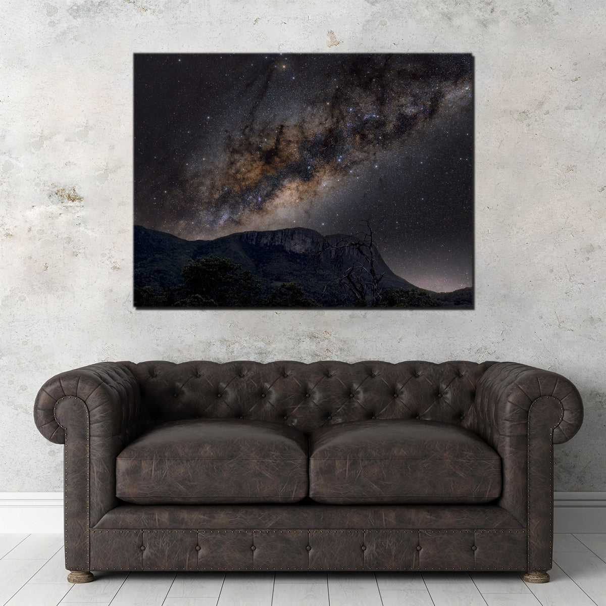 Stunning Milky Way over the Brazilian Cerrado Wall Art by Sofia Leite Fonseca