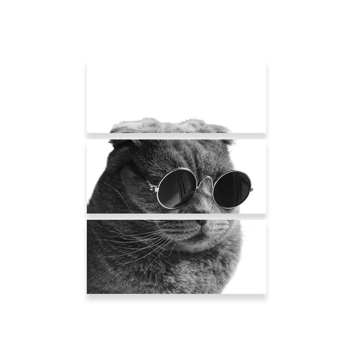 Stylish Cat Cool Wall Art by Lawisi