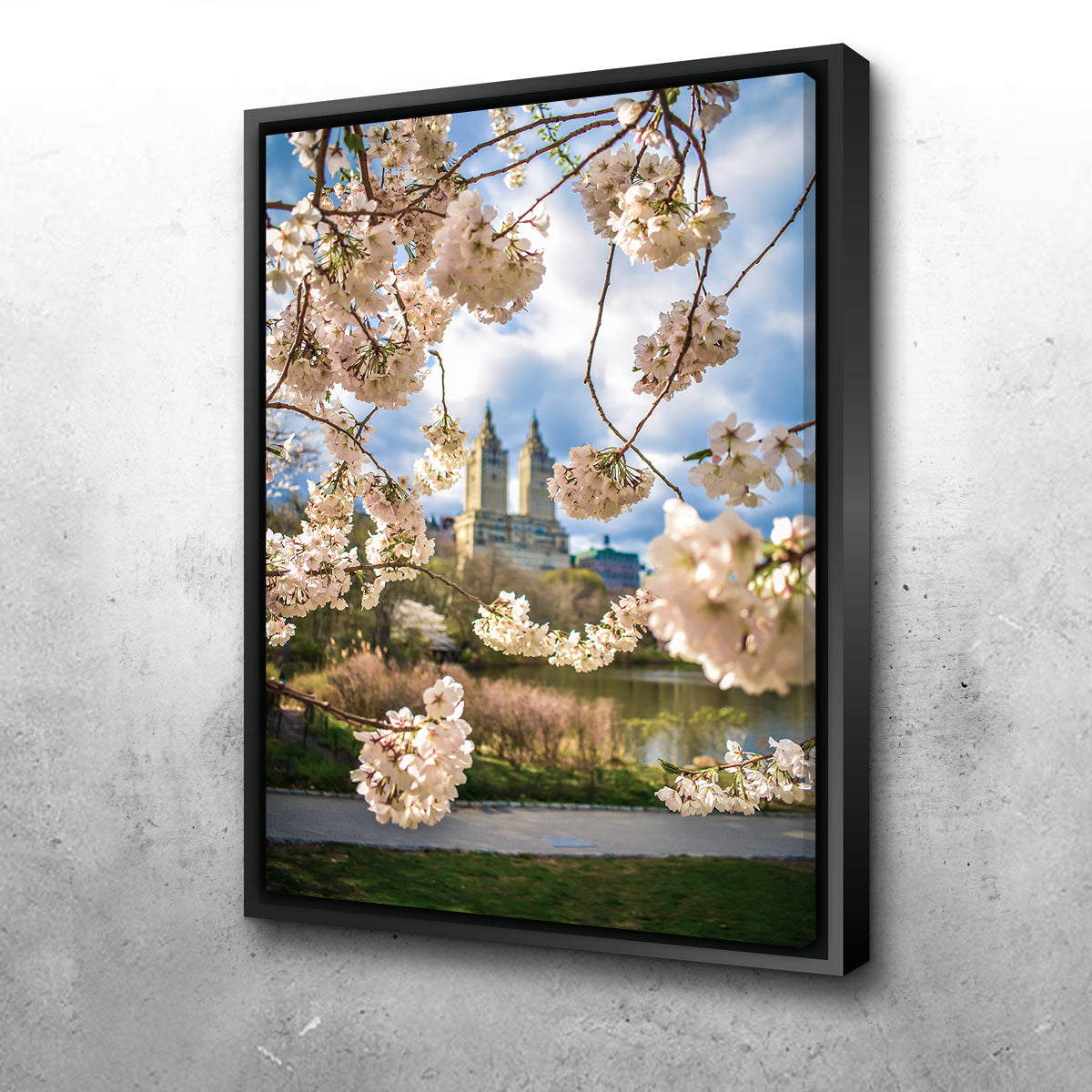 Stunning Central Park Cherry Blossoms Wall Art by Charity Dos Santos