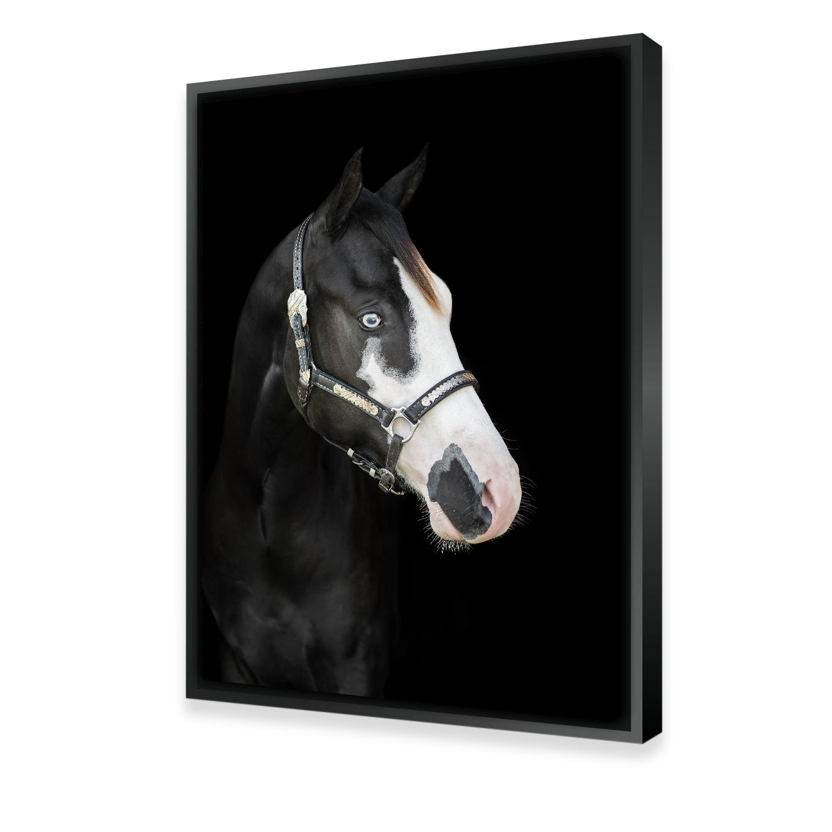 Stunning American Paint Horse Wall Art for Your Home Decor