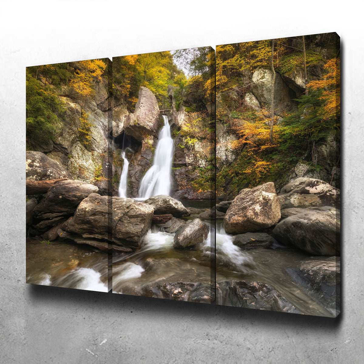 Autumn Treasure Wall Art - Exquisite Handmade Canvas Artwork by Shaun Mayer