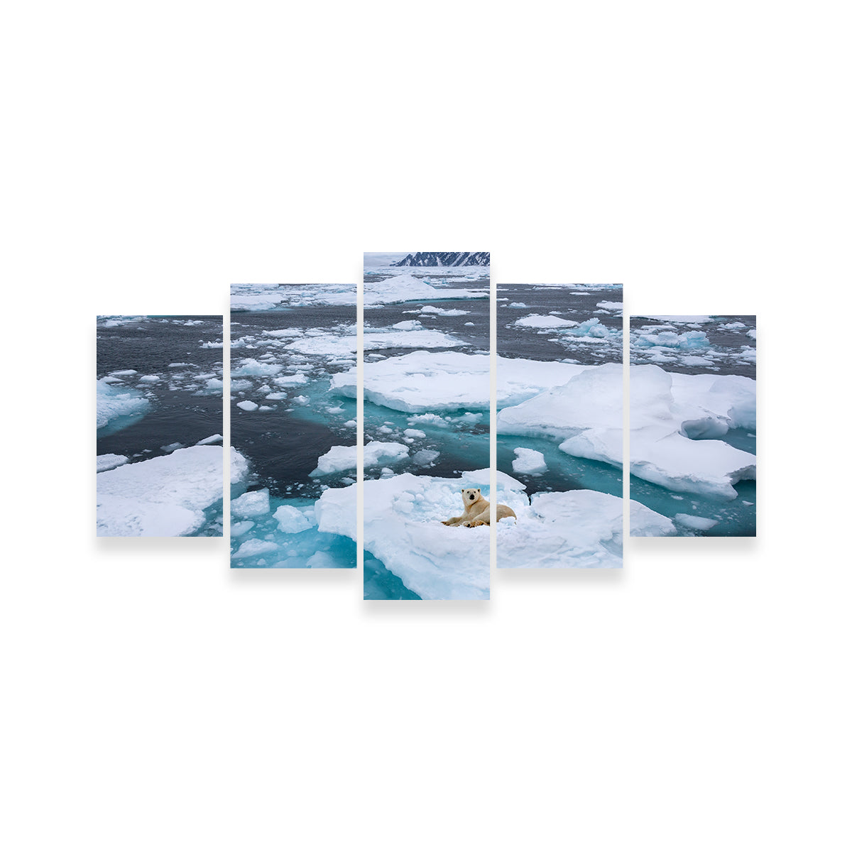 Stunning Polar Bear - Greenland Wall Art for Home Decor