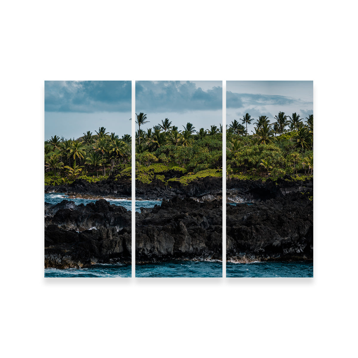 Stunning Ocean and Lava Rock Wall Art by Lucas Moore