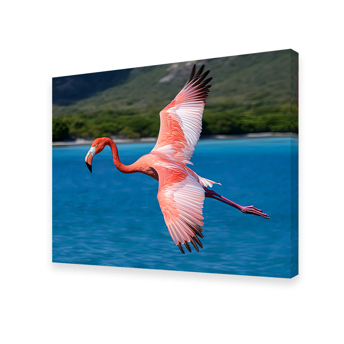 Stunning Pink Flamingo Flying Wall Art for Home Decor