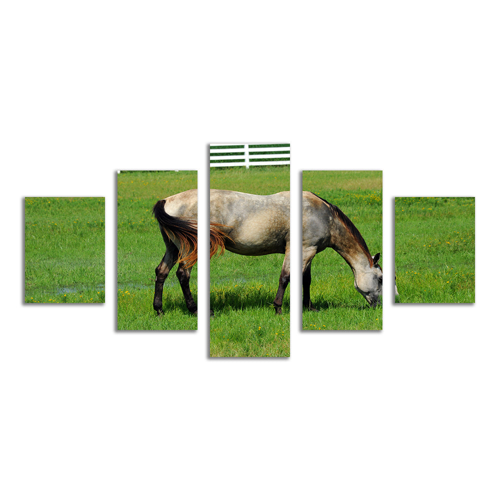 Stunning Arkansas Horse Grazing Wall Art for Home Decor