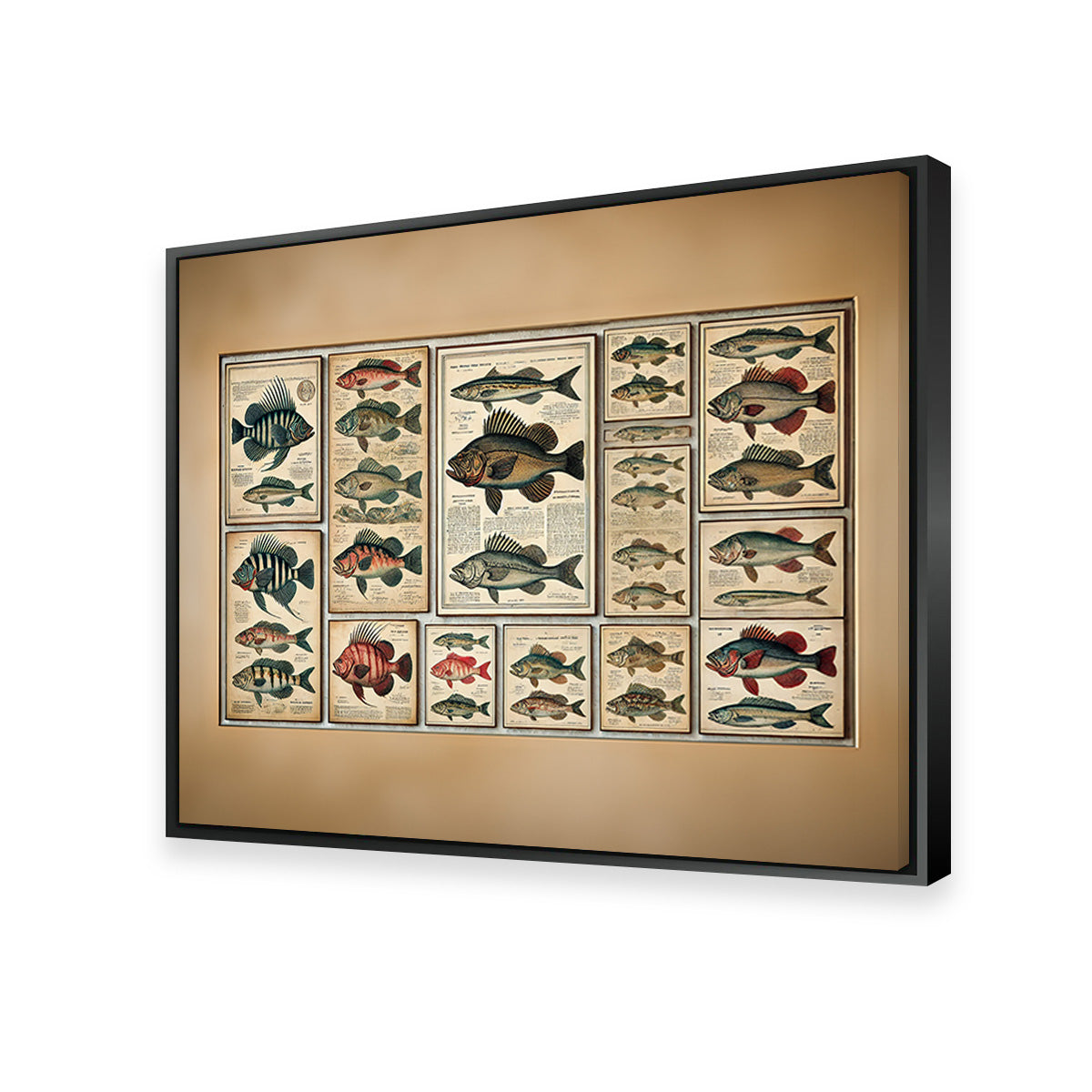 Exquisite Antique Fish Illustrations Wall Art for Stunning Home Decor