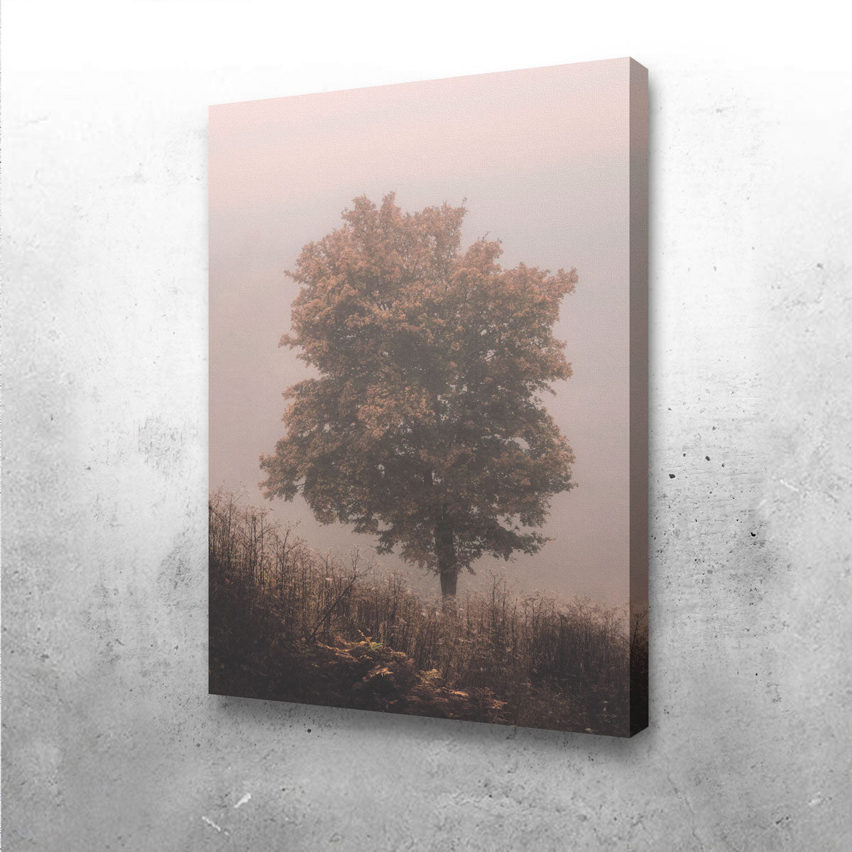 Gorgeous Pink Haze Wall Art by Mike Cotton