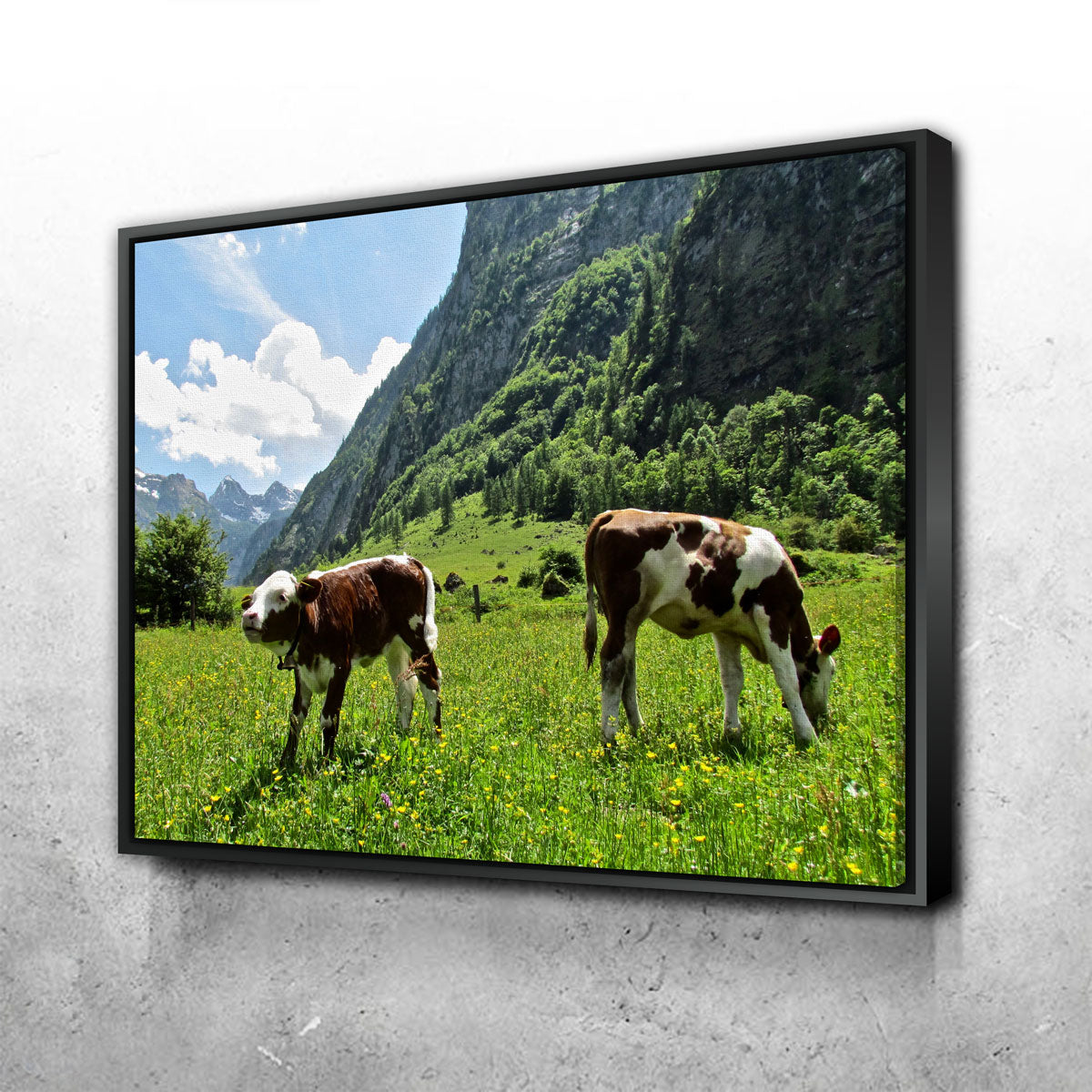 Stunning Alpine Calf Wall Art by David Campbell