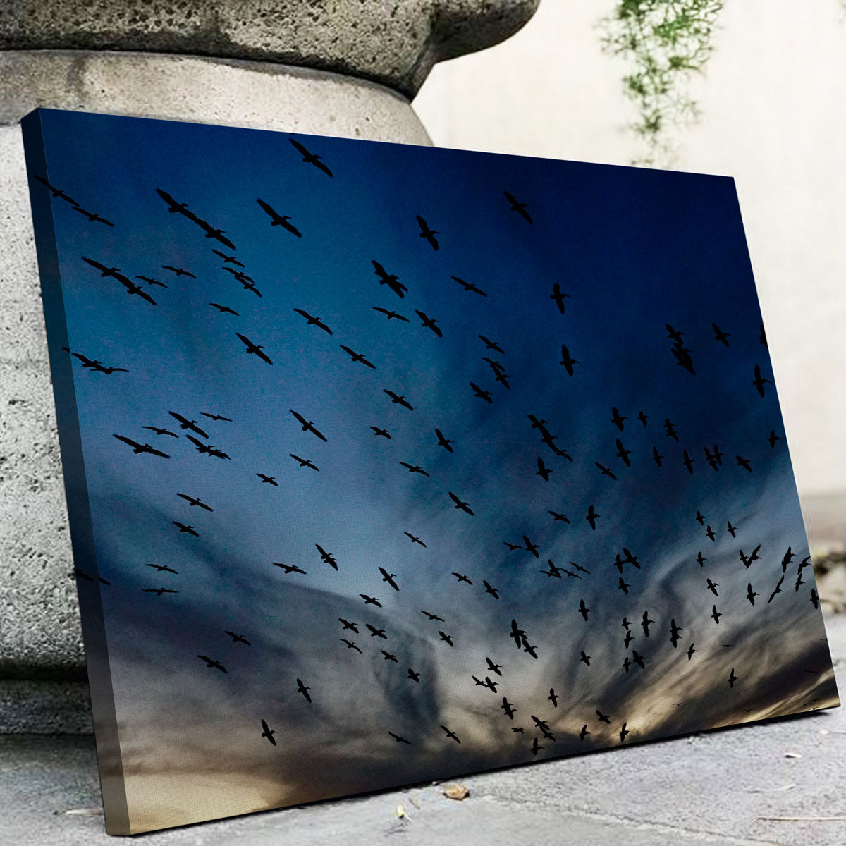 Stunning Pelican Migration Louisiana Wall Art by David Campbell