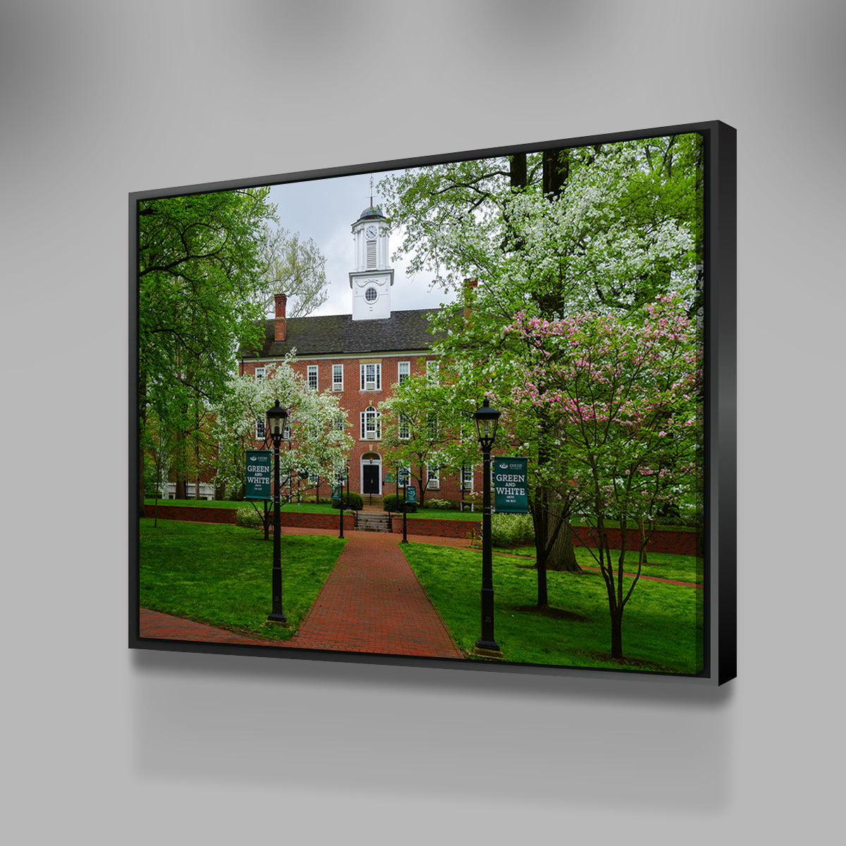 Exquisite Ohio University Wall Art for Home Decor