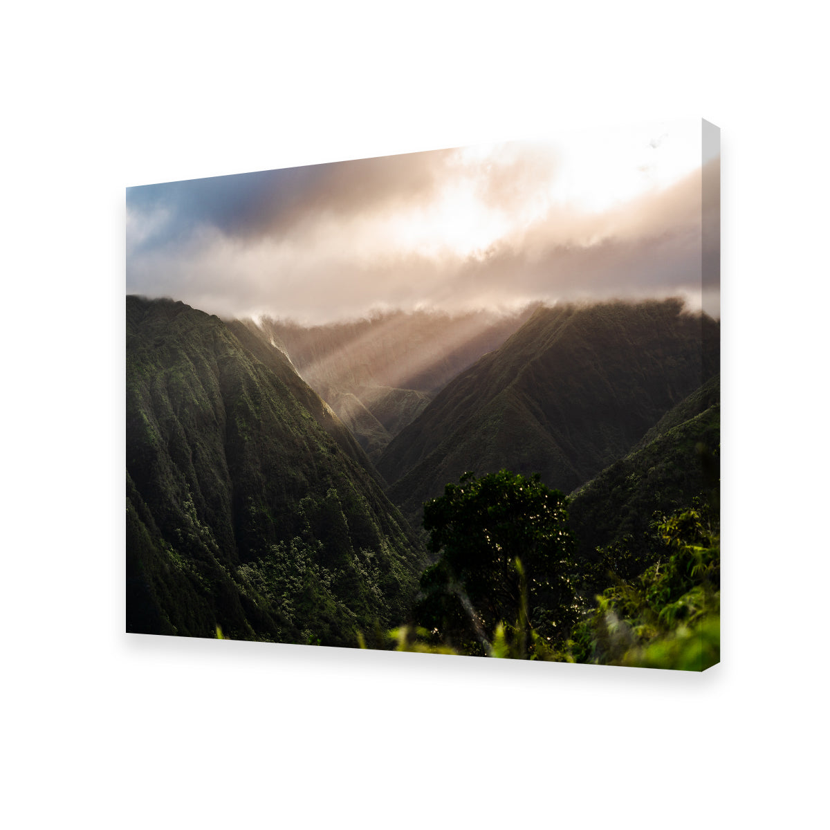 Stunning Piercing Light Wall Art by Lucas Moore