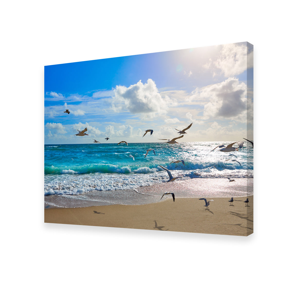 Stunning Singer Island Beach Seagulls Wall Art by Studiodtalk