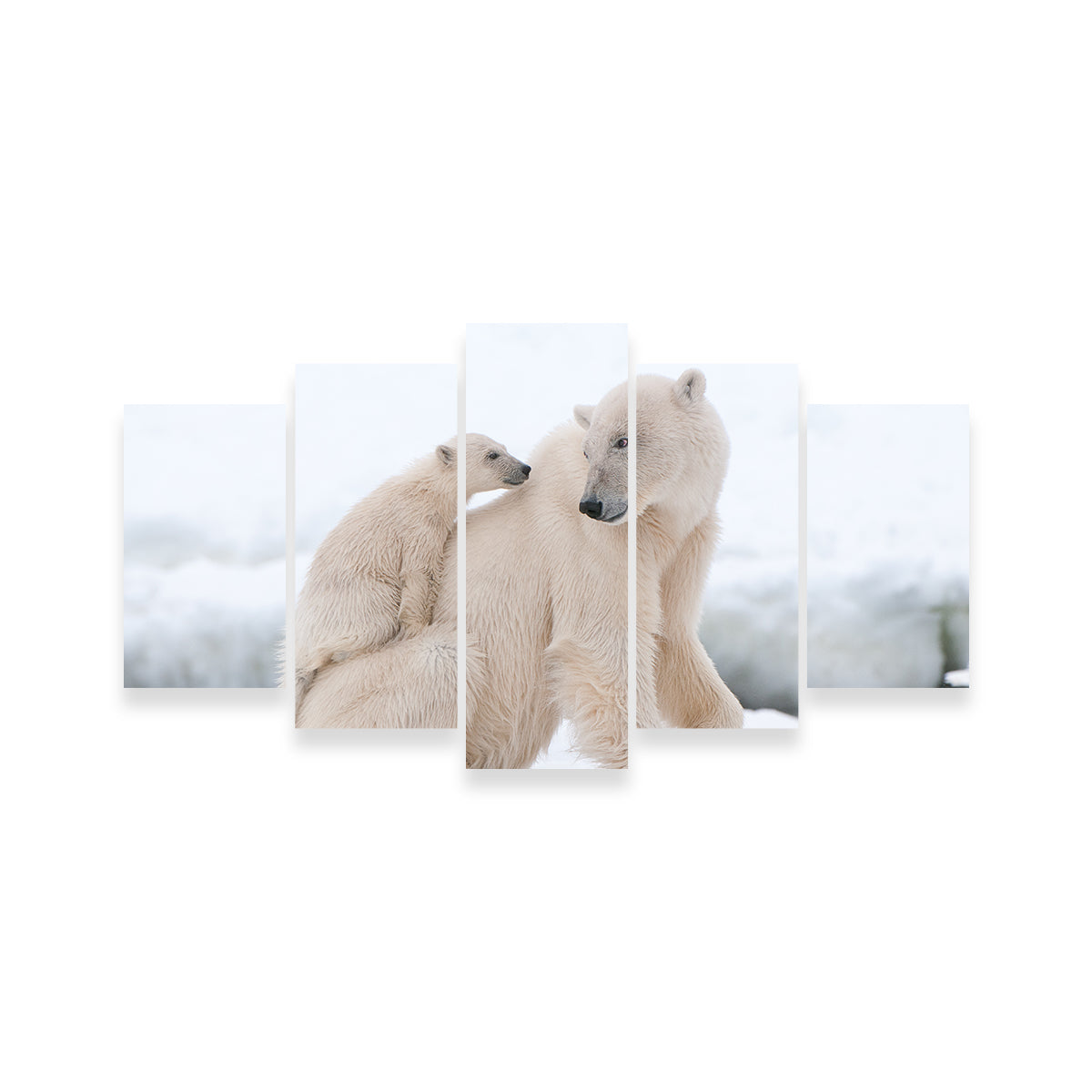 Adorable Polar Bear with Cub Wall Art for Stunning Home Decor