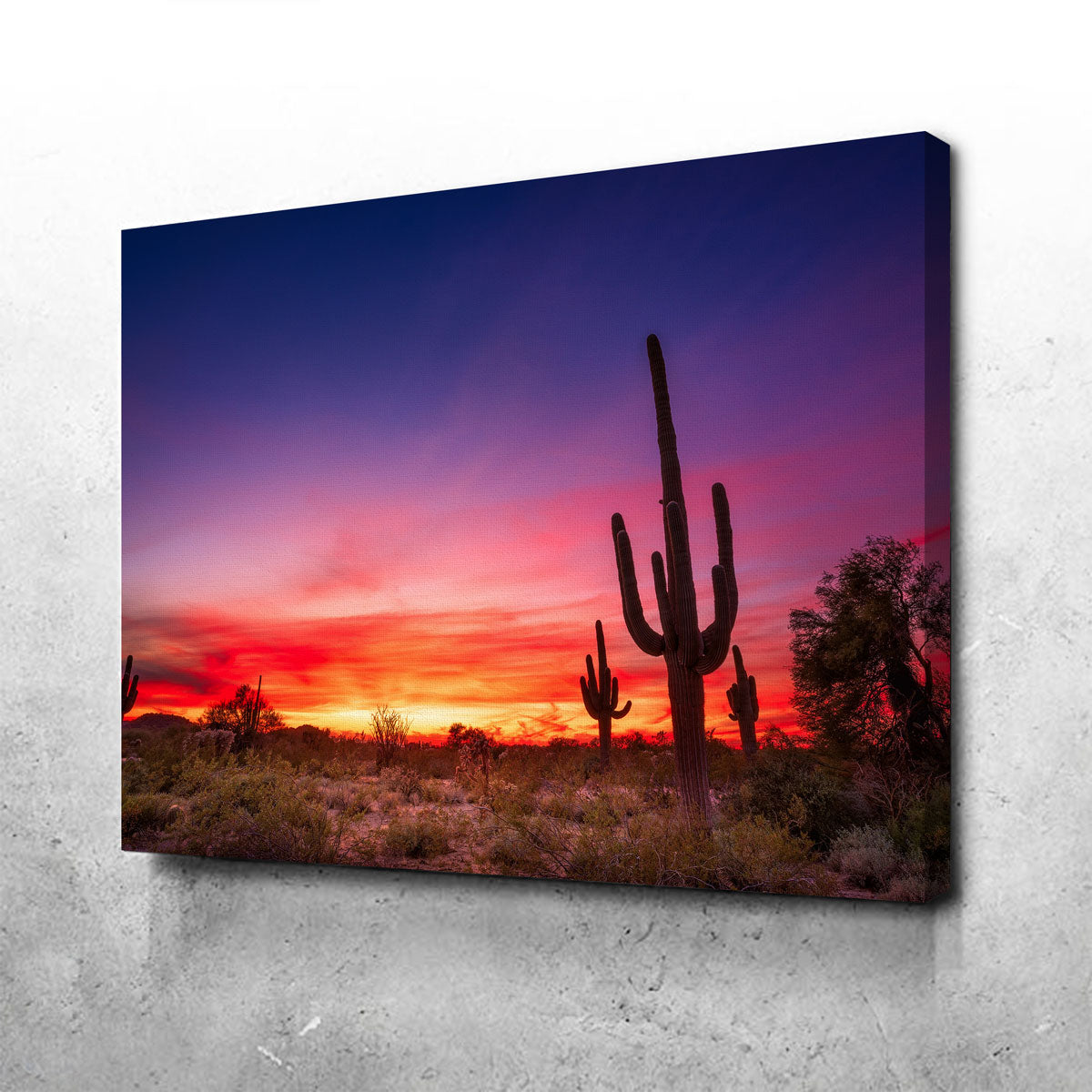 Stunning Arizona Landscape Wall Art for Your Home Decor