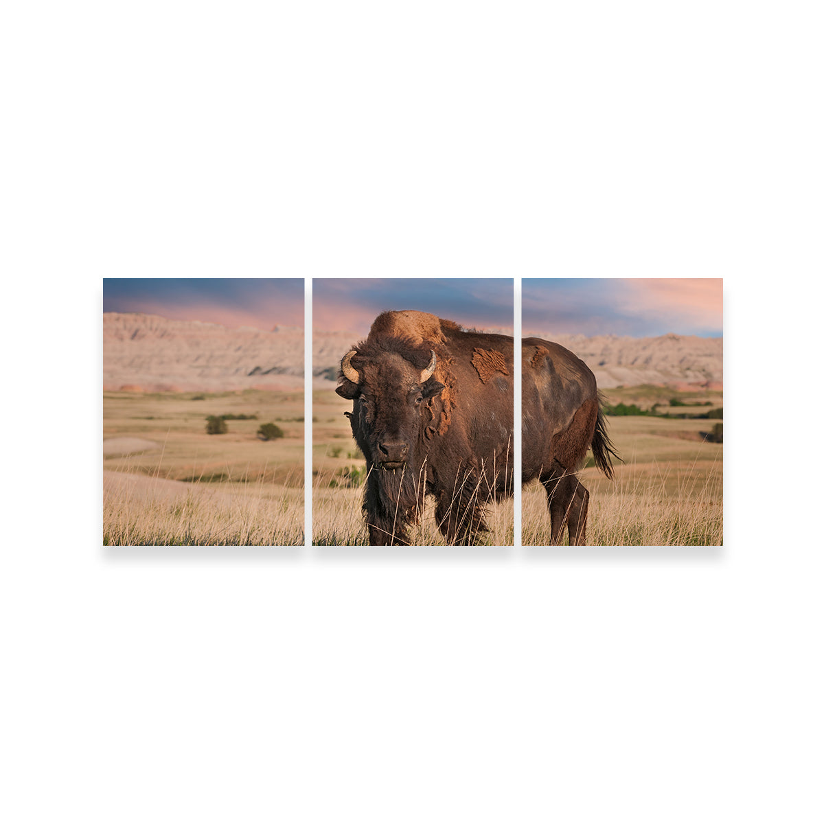 Stunning Badlands Bison Bull Wall Art for Striking Home Decor