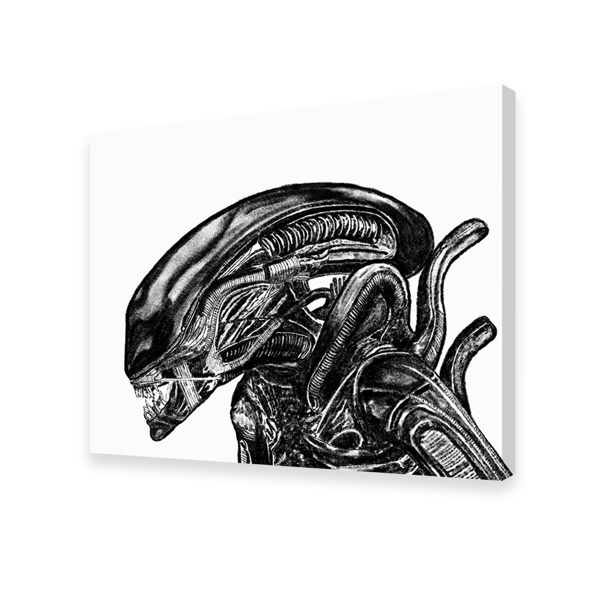 Stunning Alien Wall Art by JPS Darko Art