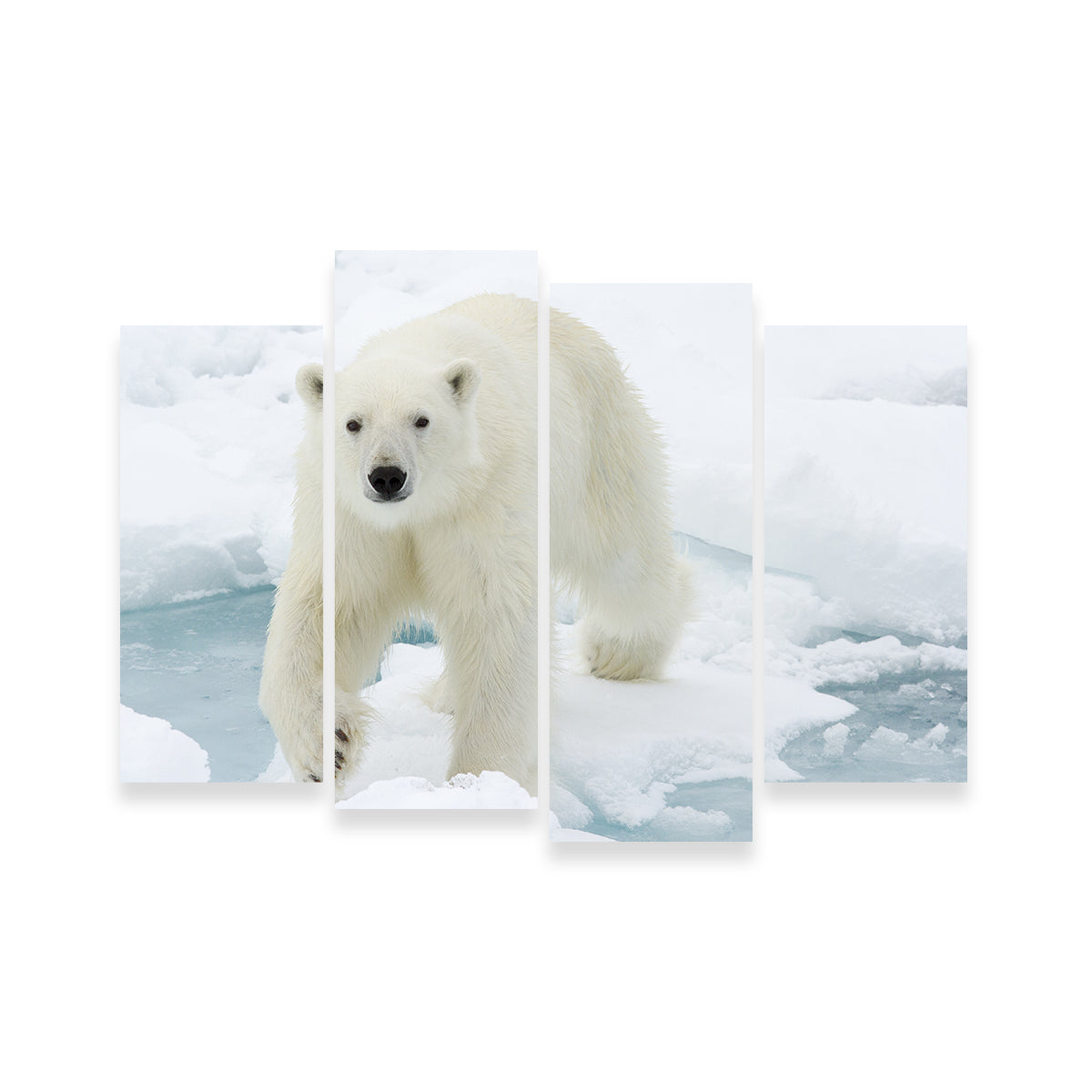 Exquisite Polar Bear Wall Art for Stunning Home Decor