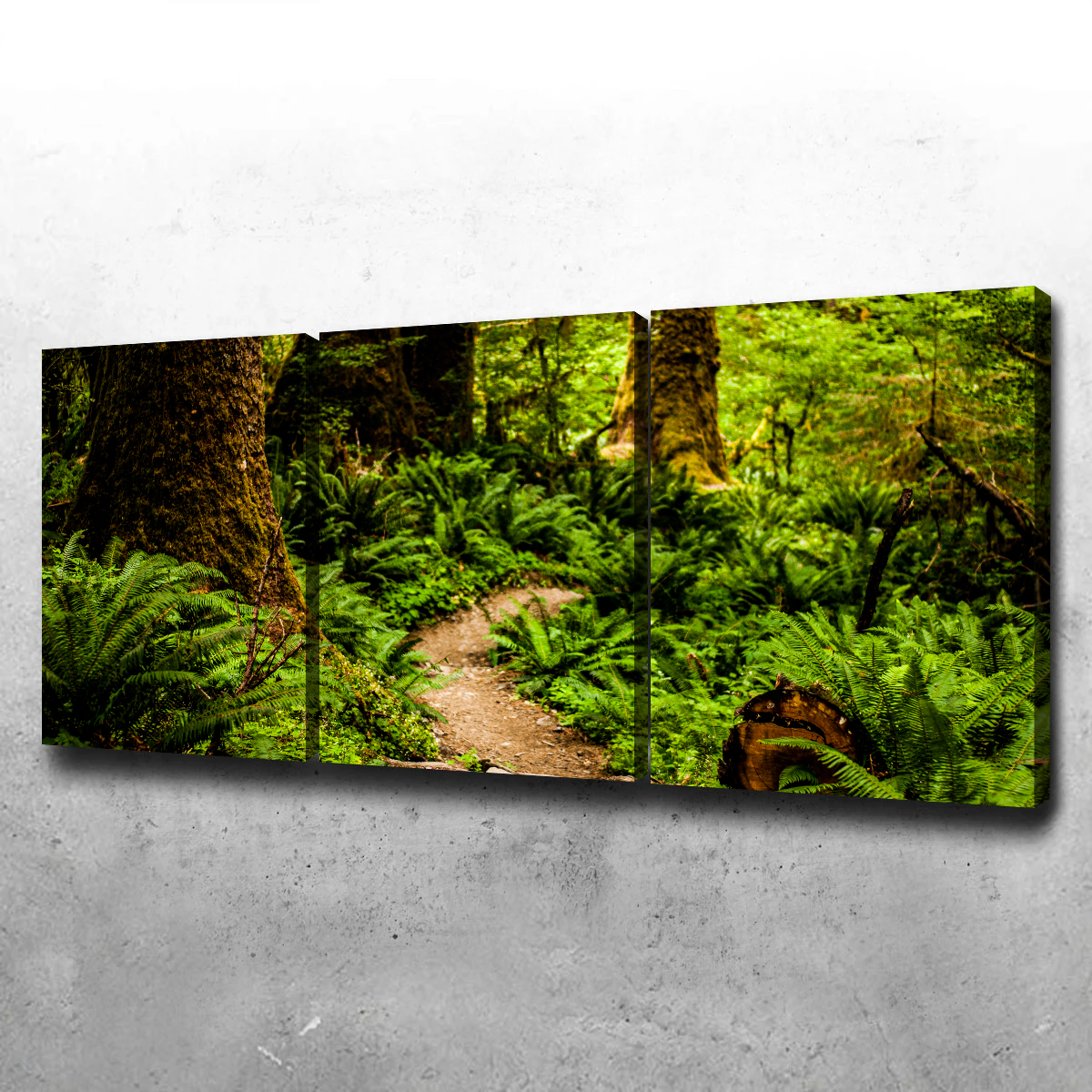 Stunning Hoh Rainforest Wall Art by Kyle Sherry