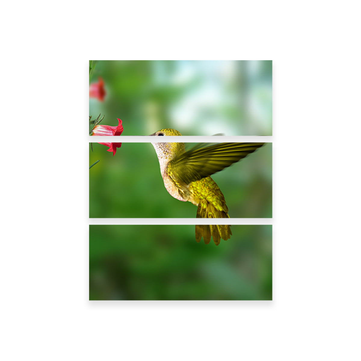 Stunning Hummingbird Flying Wall Art for Your Home Decor