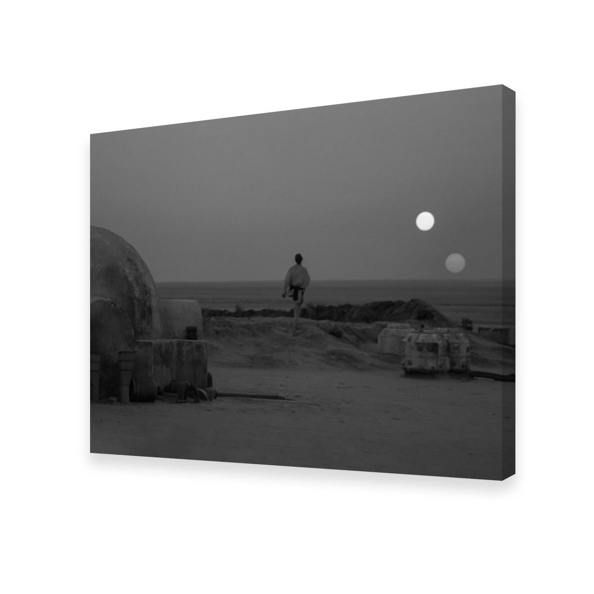 Stunning Binary Star Wars Sunset Grayscale Wall Art for Your Home Decor