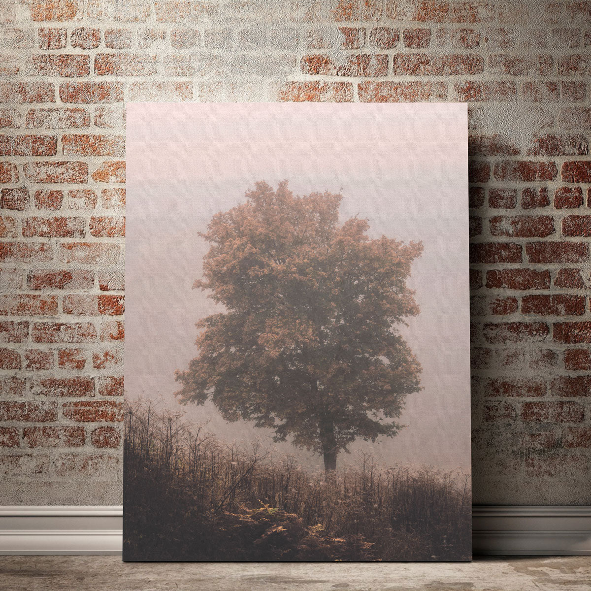 Gorgeous Pink Haze Wall Art by Mike Cotton