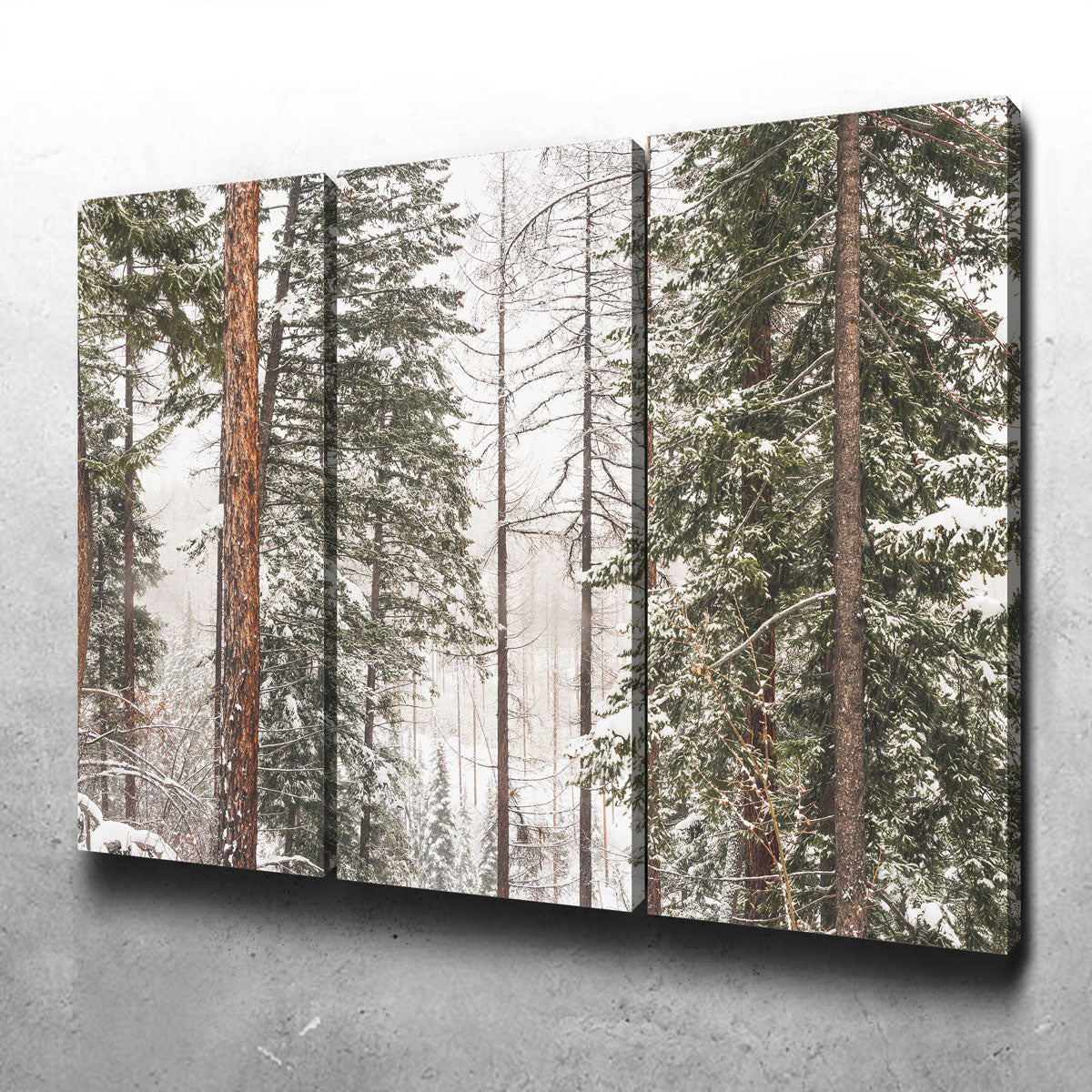 Stunning Snow in Lois Creek Wall Art by Mike Cotton
