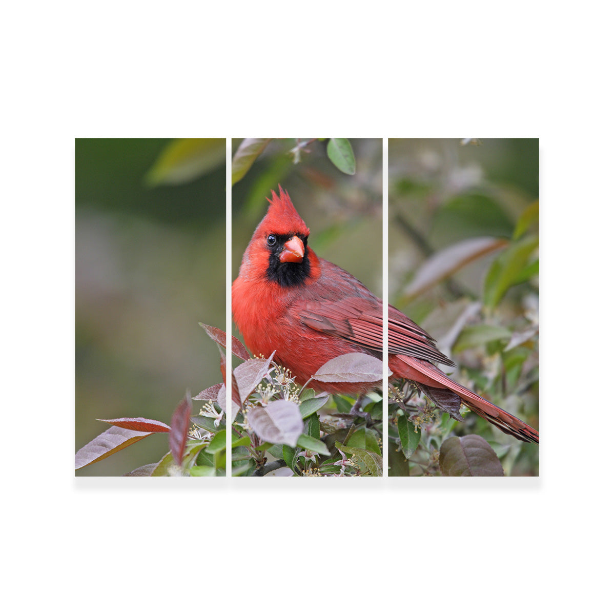 Exquisite Cardinal Perched Wall Art for Home Decor