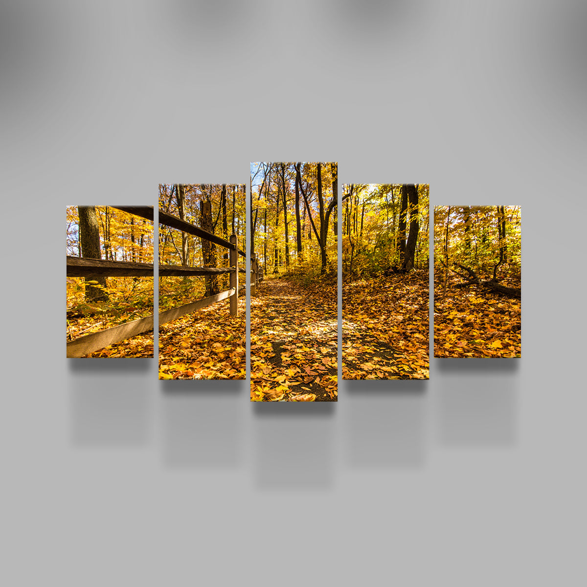 Breathtaking Caesar Creek State Park Fall Foliage Wall Art for Stunning Home Decor