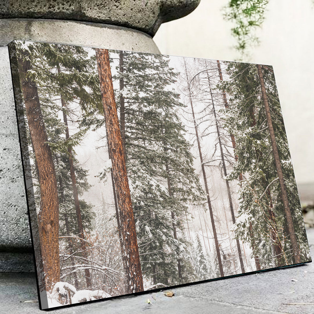 Stunning Snow in Lois Creek Wall Art by Mike Cotton