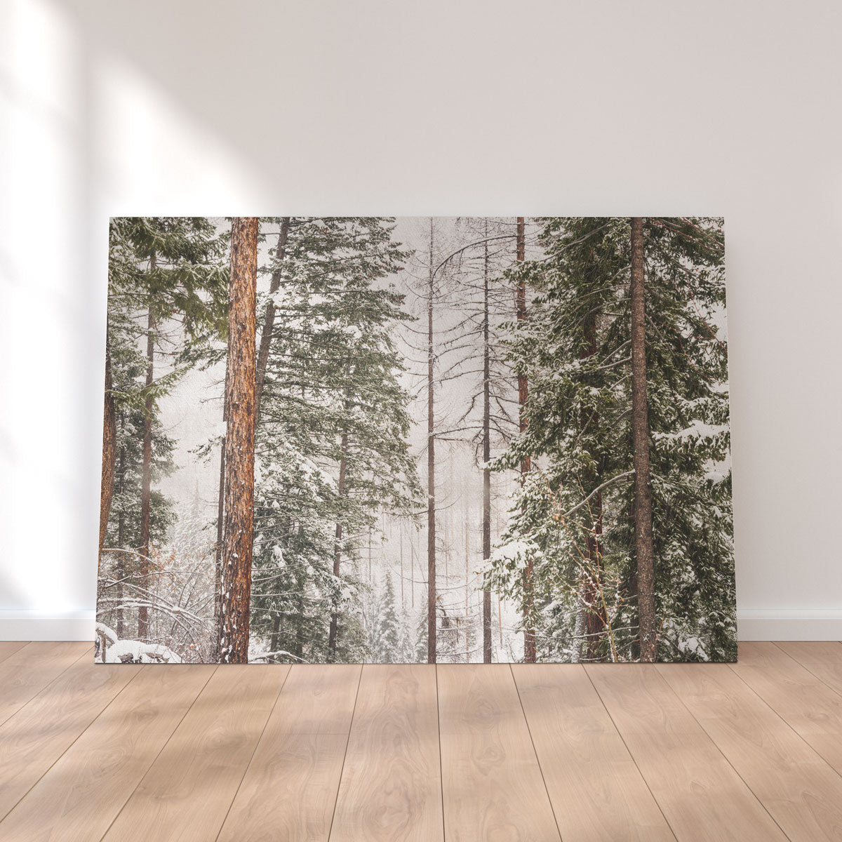 Stunning Snow in Lois Creek Wall Art by Mike Cotton
