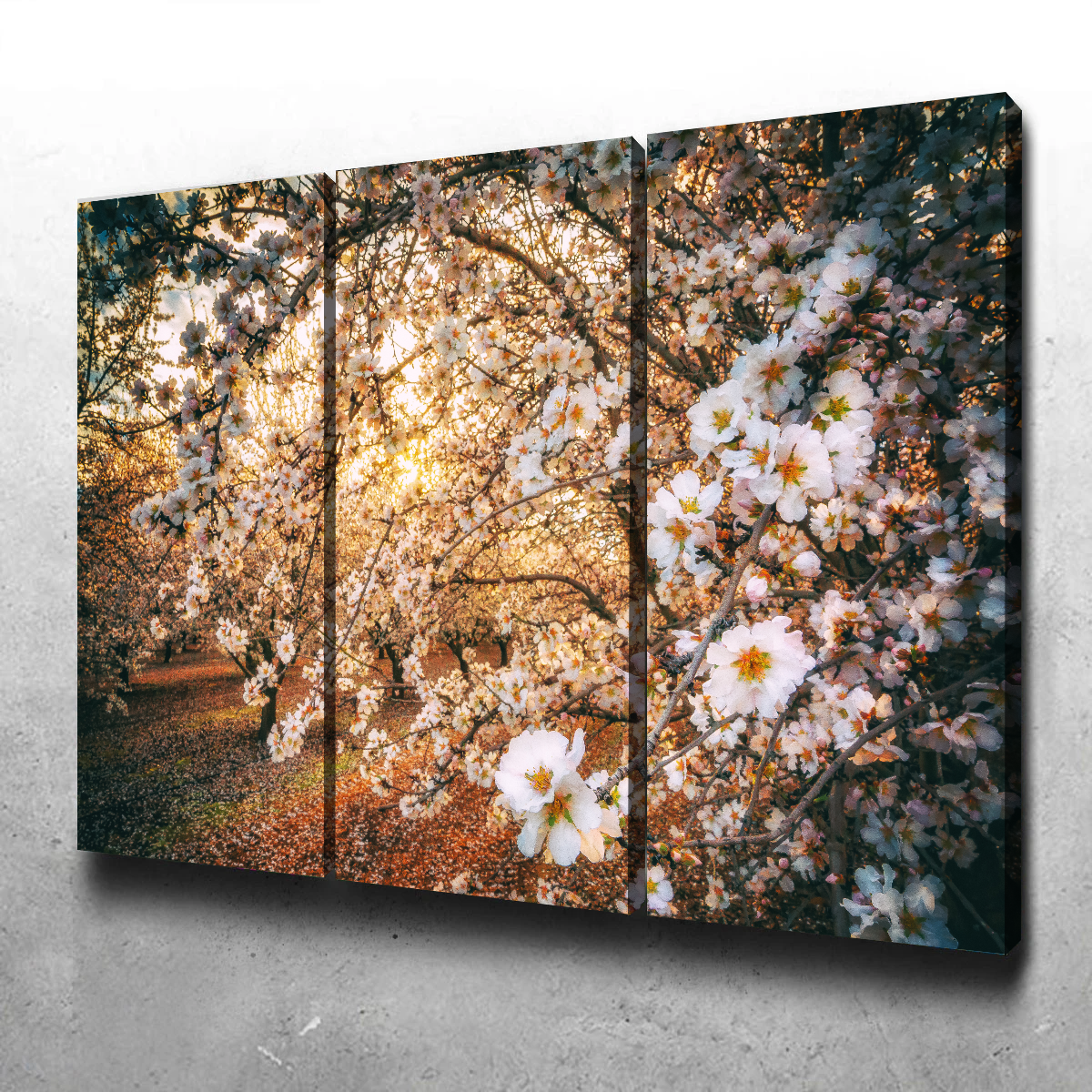 Stunning California Blossom Trail Wall Art for Your Home Decor