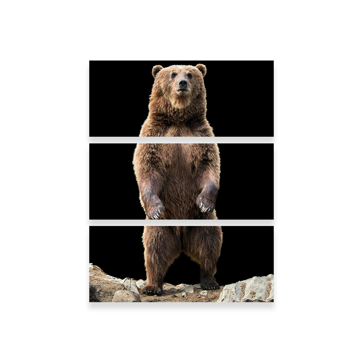 Stunning Big Brown Bear Standing Wall Art for Home Decor