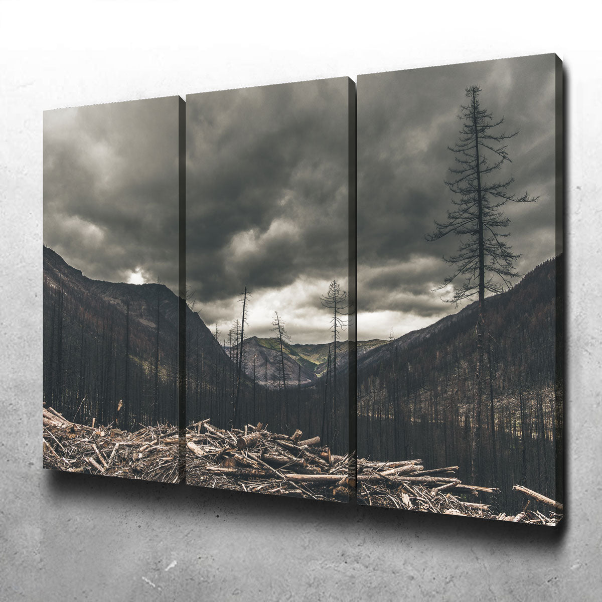 Stunning Ash and Clouds Wall Art by Mike Cotton
