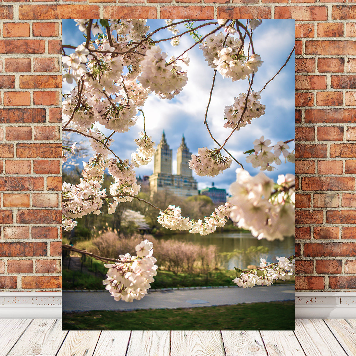 Stunning Central Park Cherry Blossoms Wall Art by Charity Dos Santos