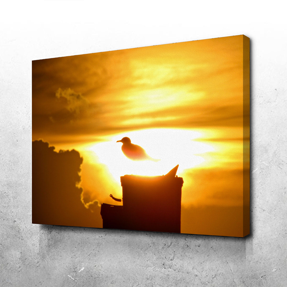 Stunning Nuclear Seagull Wall Art by David Campbell