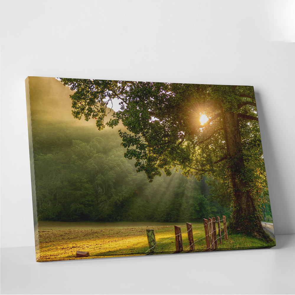 Stunning Cades Cove Wall Art for Home Decor