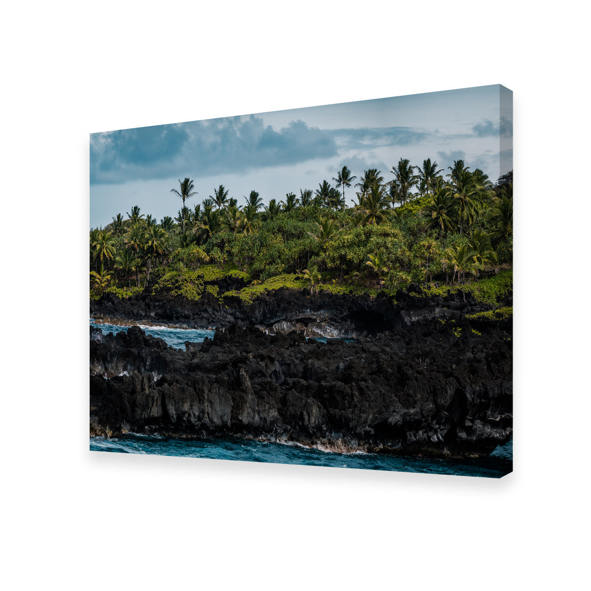 Stunning Ocean and Lava Rock Wall Art by Lucas Moore