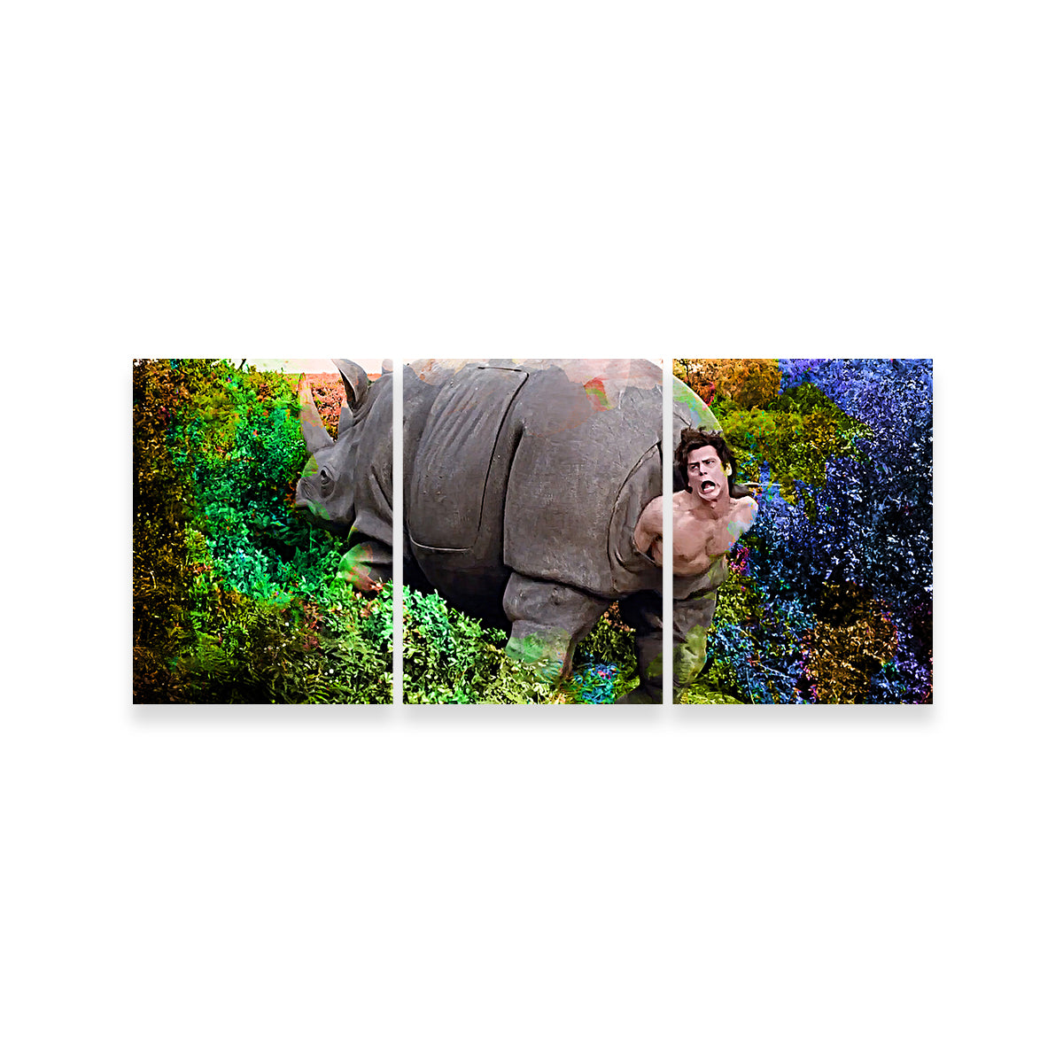 Stunning Ace Ventura Rhino Birth Wall Art for Home Decor