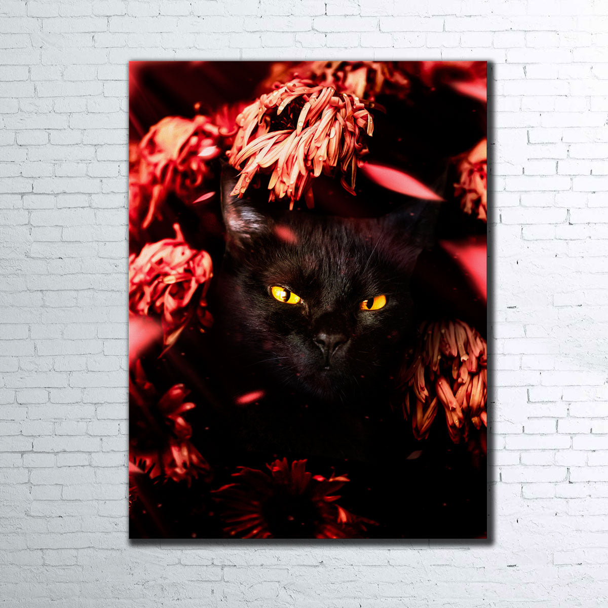Stunning Cat Black Petals Wall Art by Manuel Luces